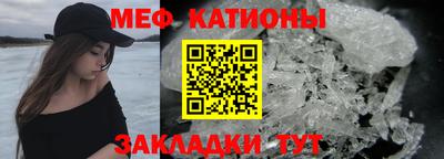 сатива Заводоуковск