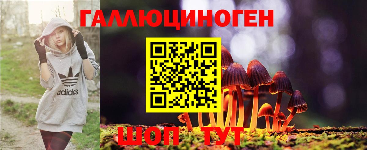 Галлюциногенные грибы Psilocybe Минеральные Воды
